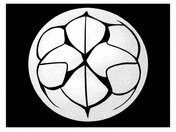 kaiyun.com-NBA全明星赛即将启幕，全球篮球迷的期待与激情